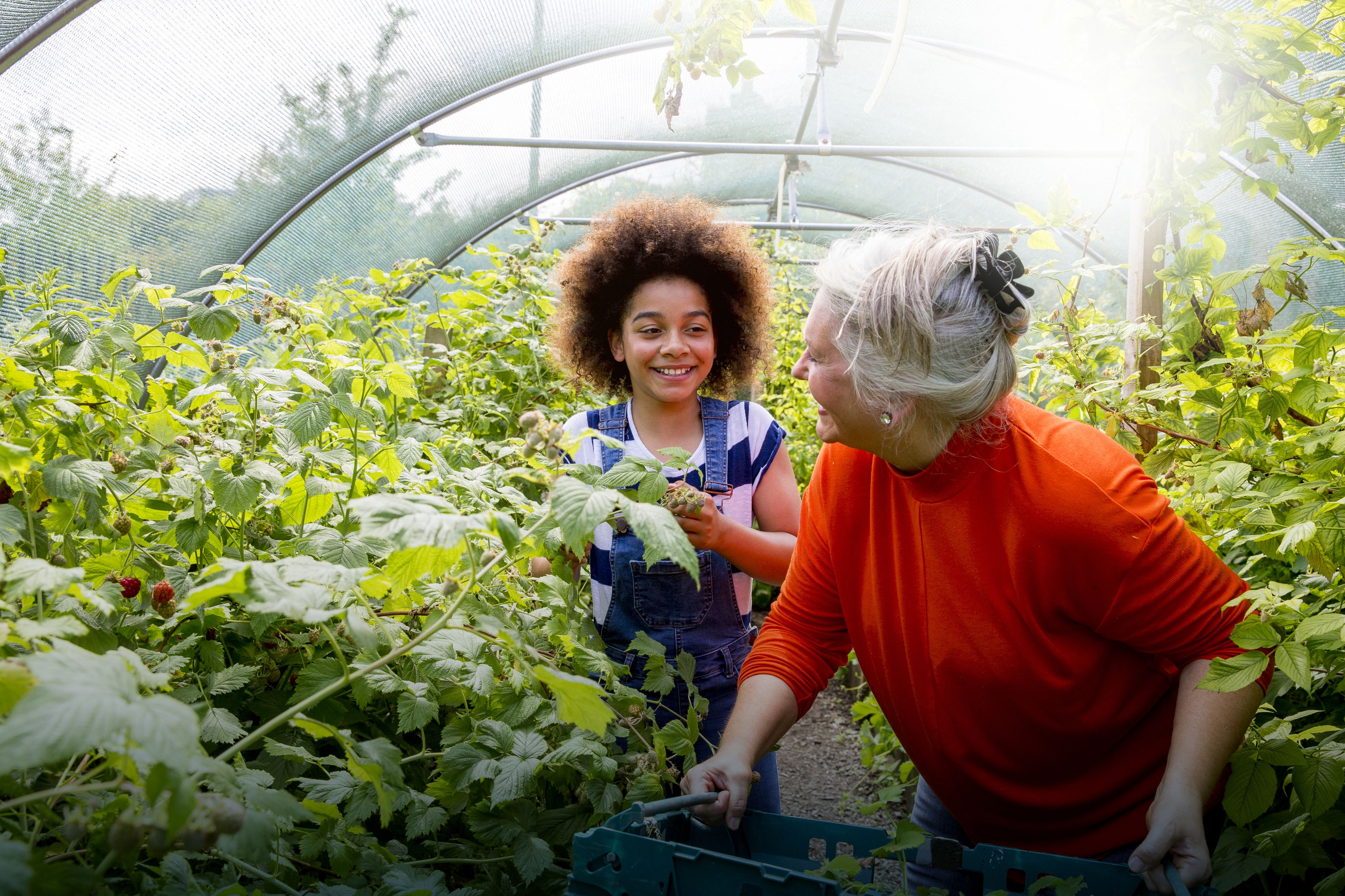 Our Commitment 5, grandmother and granddaughter gardening